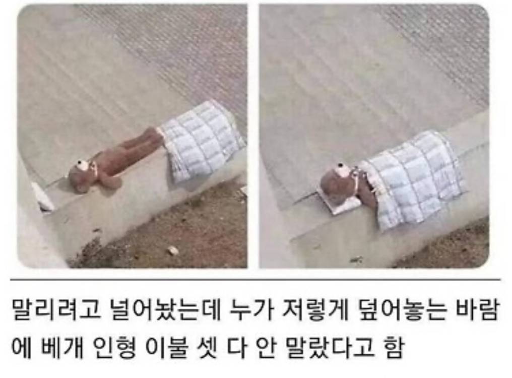 말리려고 널어놨는데 누가 아... | 인스티즈