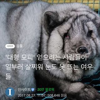 날씨 춥다!!!!!!!!오리털 패딩!!!!!!앙고라 니트!!!!!캐시미어 코트!!!!!!울코트!!!!!!!!!!다들 장만했지?!!!!!!!!!! | 인스티즈