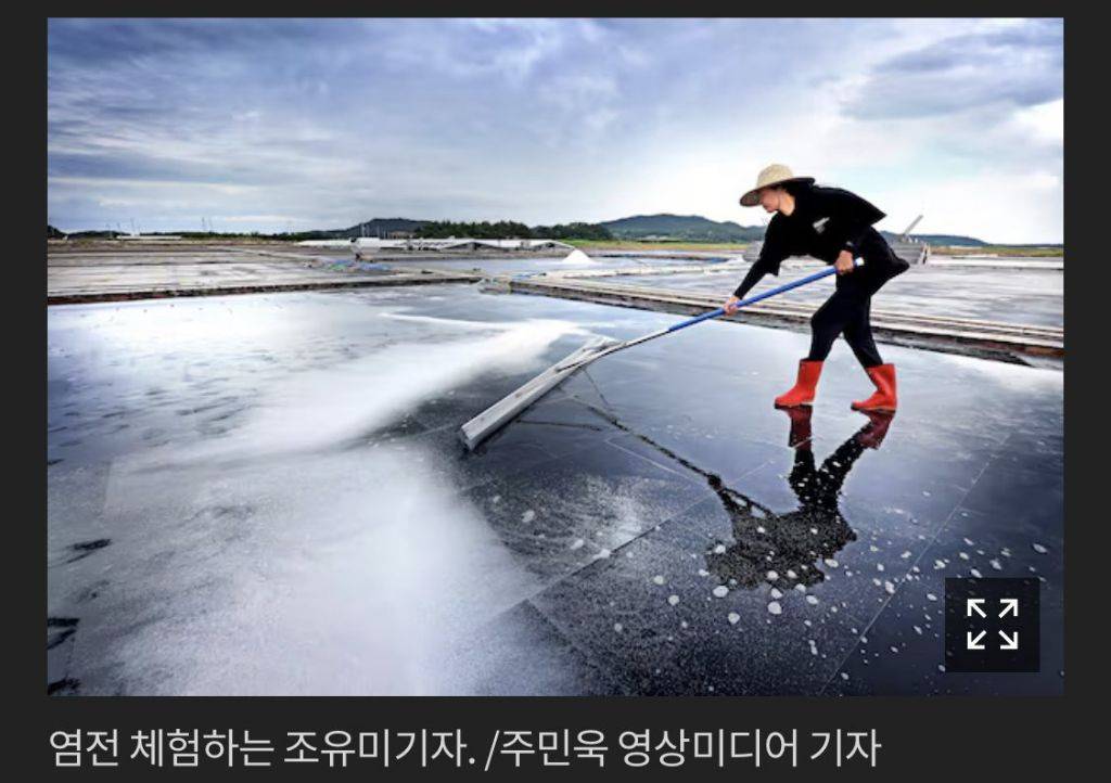 뭐든지 몸소 체험해보는 기자 | 인스티즈