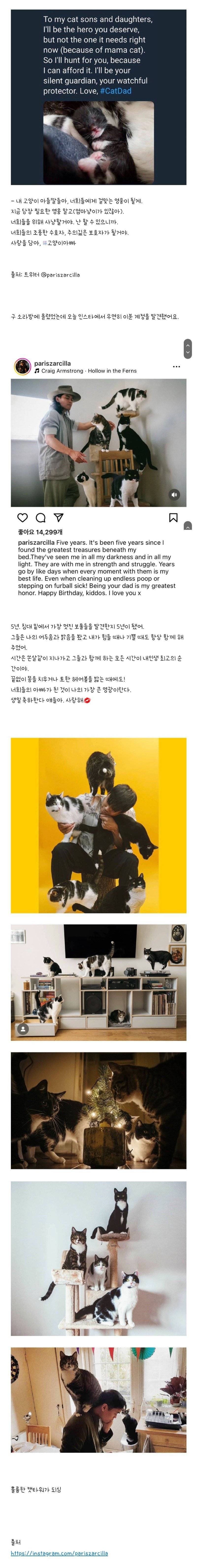 우울증 환자 집에 고양이 가족이 무단침입 | 인스티즈