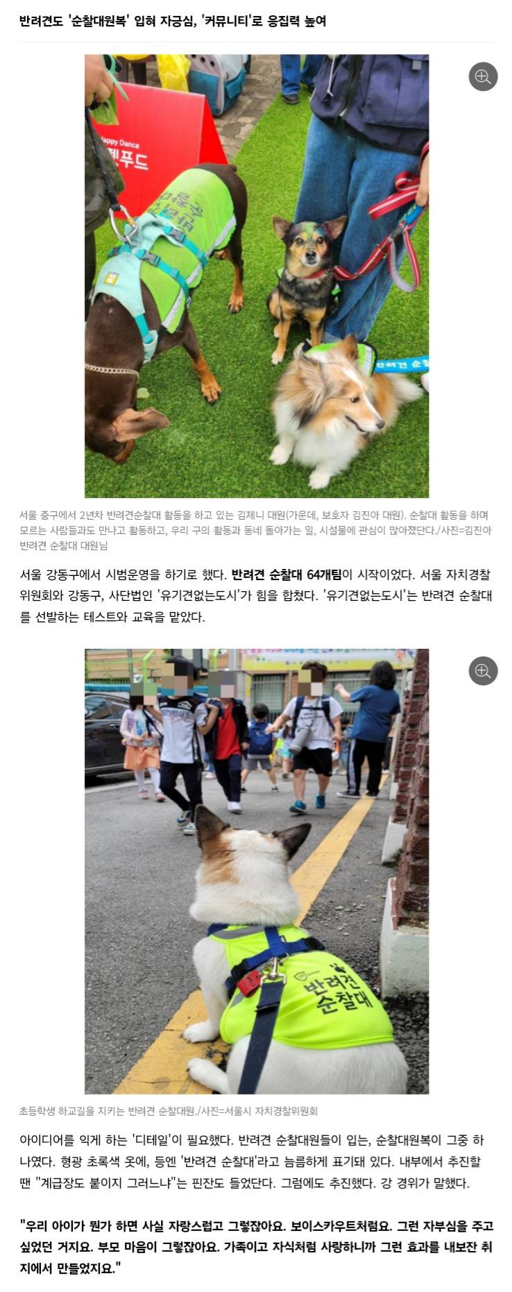 처음엔 비웃음 샀던 반려견 순찰대 한밤중 '강아지'가 잡아끈 곳에…사람이 쓰러져 있었다 | 인스티즈