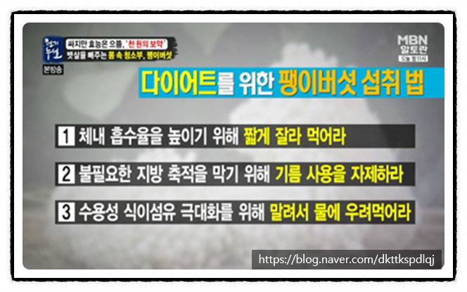 내장지방 제거에 효과적이라는 팽이버섯 | 인스티즈