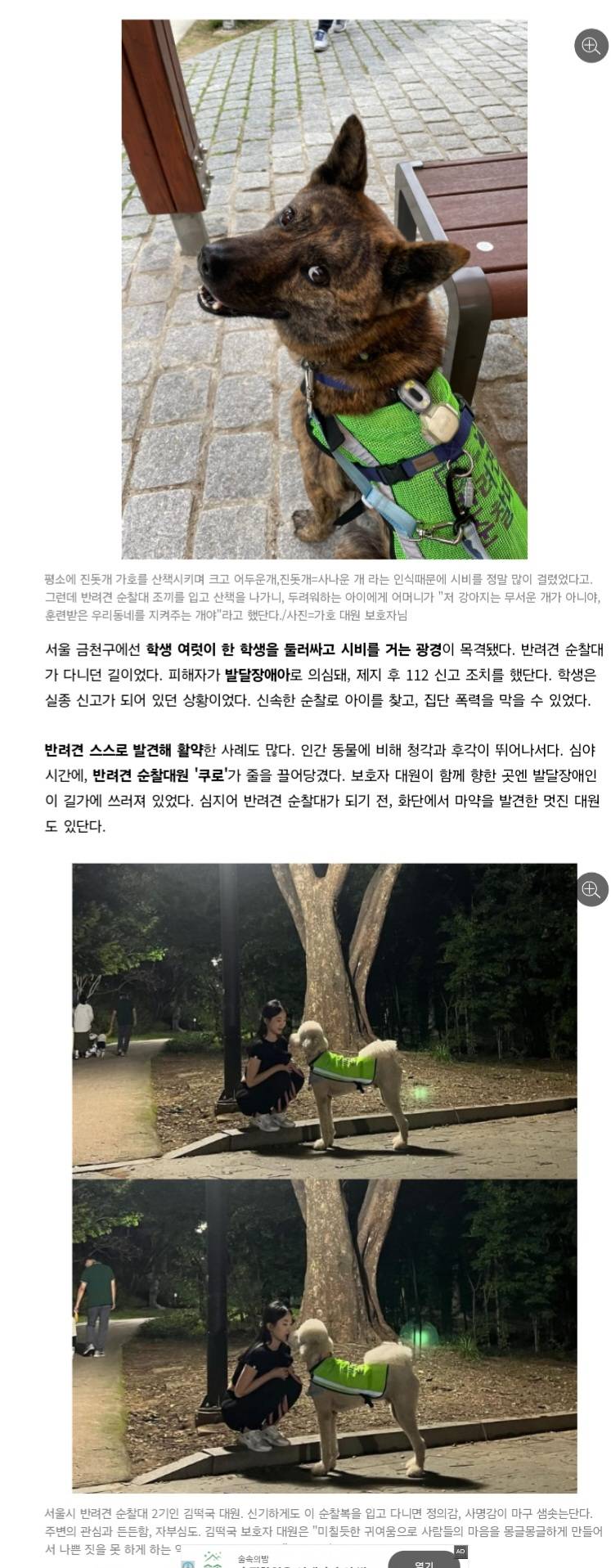 처음엔 비웃음 샀던 반려견 순찰대 한밤중 '강아지'가 잡아끈 곳에…사람이 쓰러져 있었다 | 인스티즈