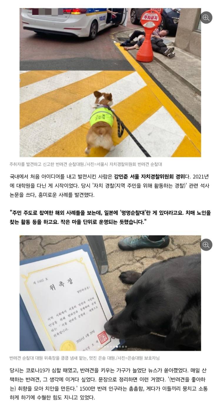 처음엔 비웃음 샀던 반려견 순찰대 한밤중 '강아지'가 잡아끈 곳에…사람이 쓰러져 있었다 | 인스티즈