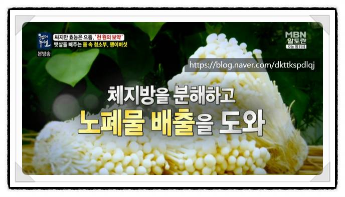 내장지방 제거에 효과적이라는 팽이버섯 | 인스티즈