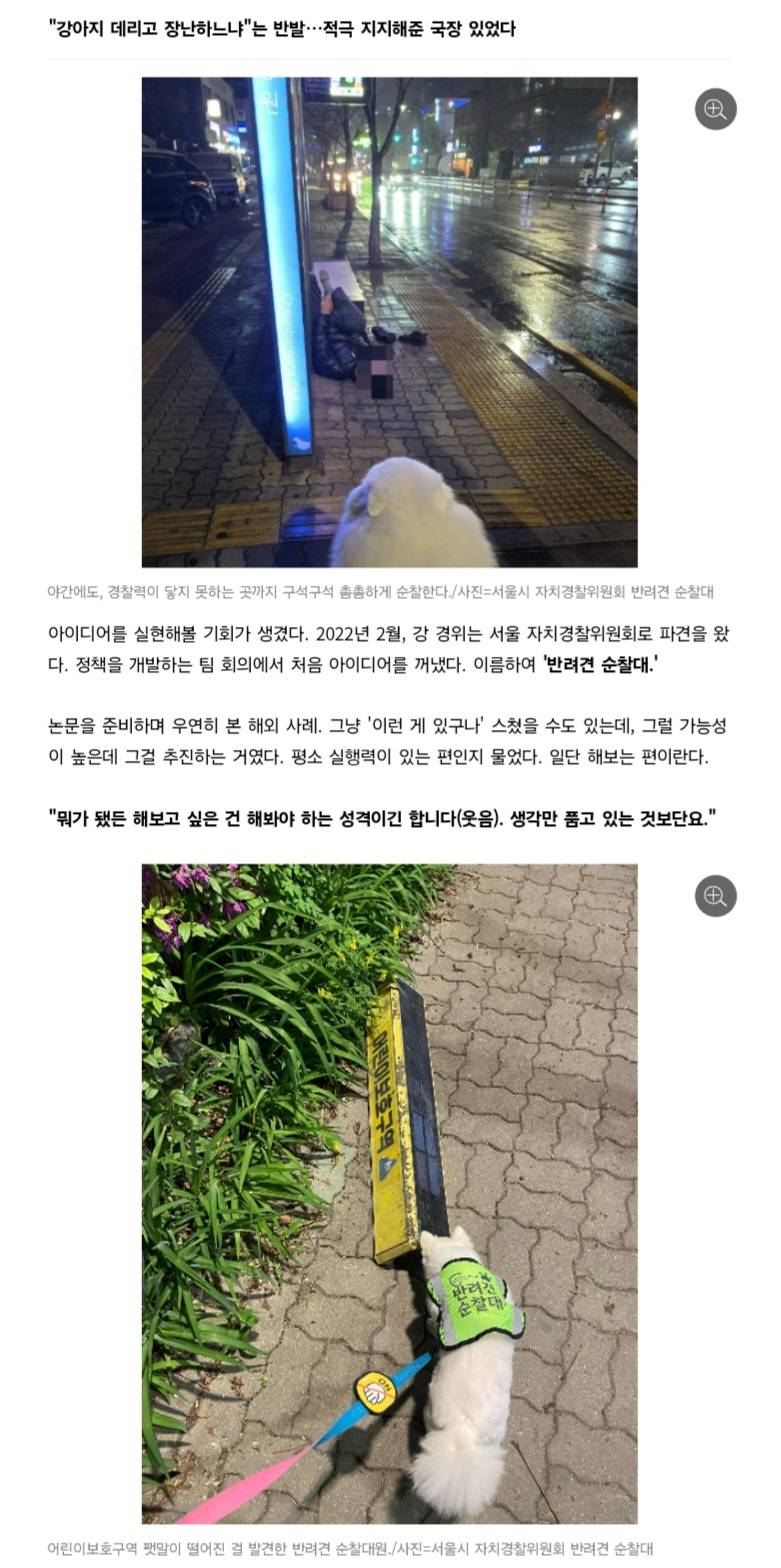 처음엔 비웃음 샀던 반려견 순찰대 한밤중 '강아지'가 잡아끈 곳에…사람이 쓰러져 있었다 | 인스티즈