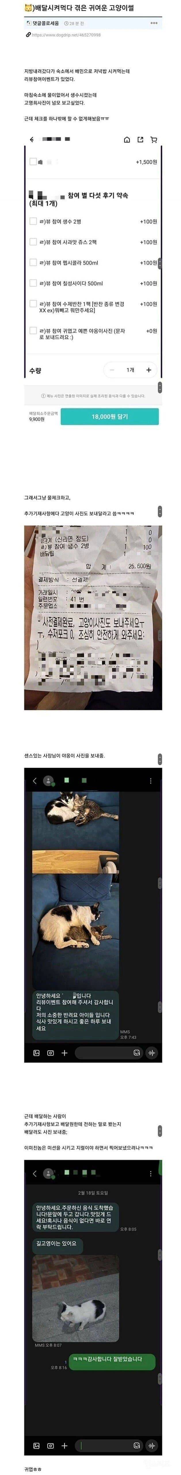 리뷰이벤트로 고양이 사진 보내달라 했더니 | 인스티즈