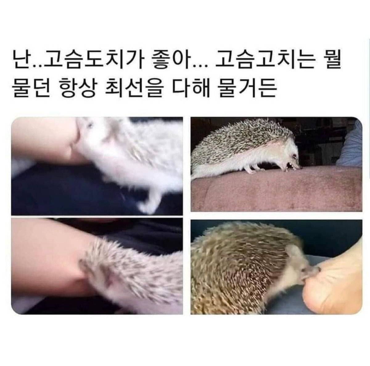 나:우와 할아버지 새에요?? 할아버지:...모르는 새여.. 나:? | 인스티즈