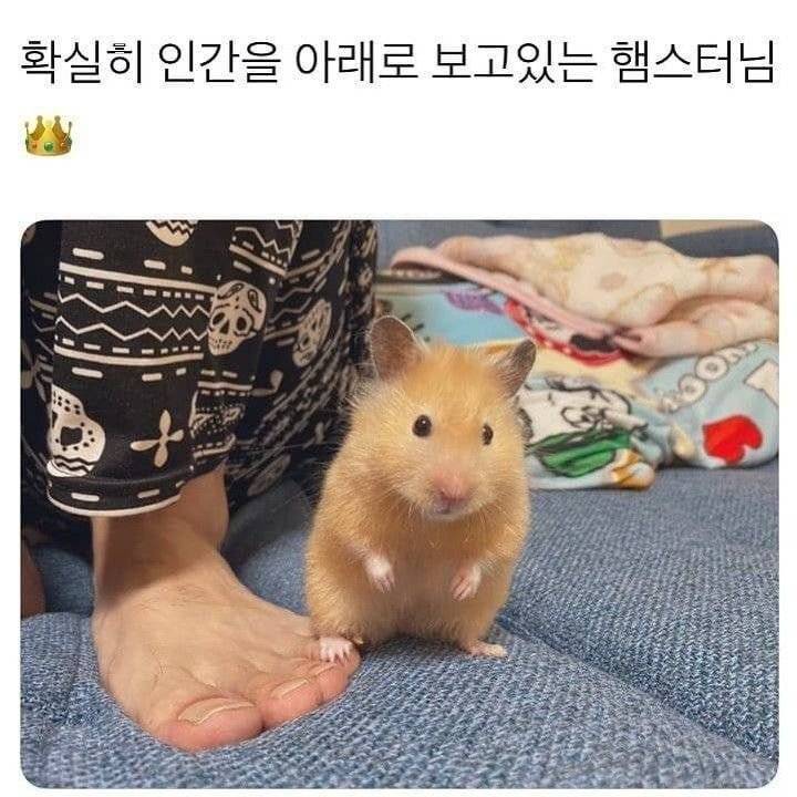 나:우와 할아버지 새에요?? 할아버지:...모르는 새여.. 나:? | 인스티즈