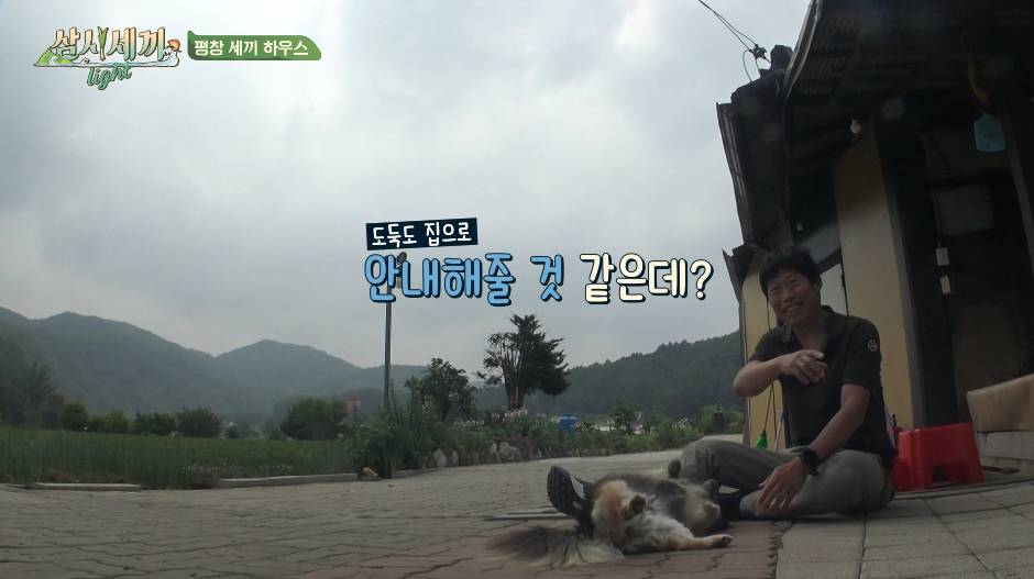 순해도 너무 순한 삼시세끼 복구.jpgif | 인스티즈