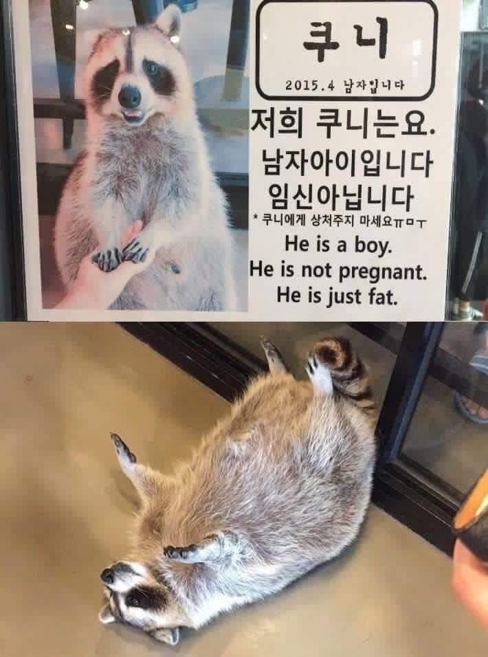 나:우와 할아버지 새에요?? 할아버지:...모르는 새여.. 나:? | 인스티즈