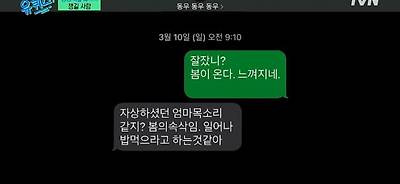 개그맨 김경식 이동우 문자 | 인스티즈