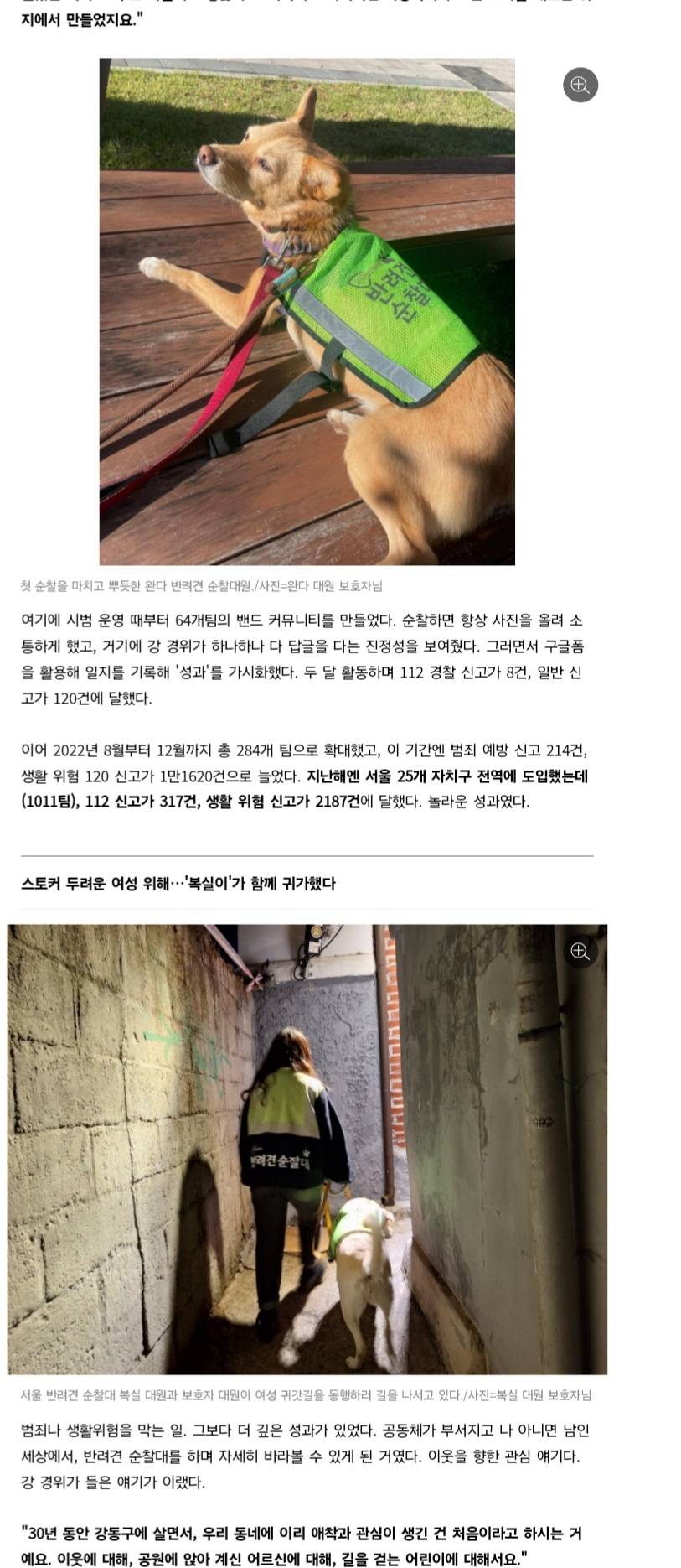 처음엔 비웃음 샀던 반려견 순찰대 한밤중 '강아지'가 잡아끈 곳에…사람이 쓰러져 있었다 | 인스티즈