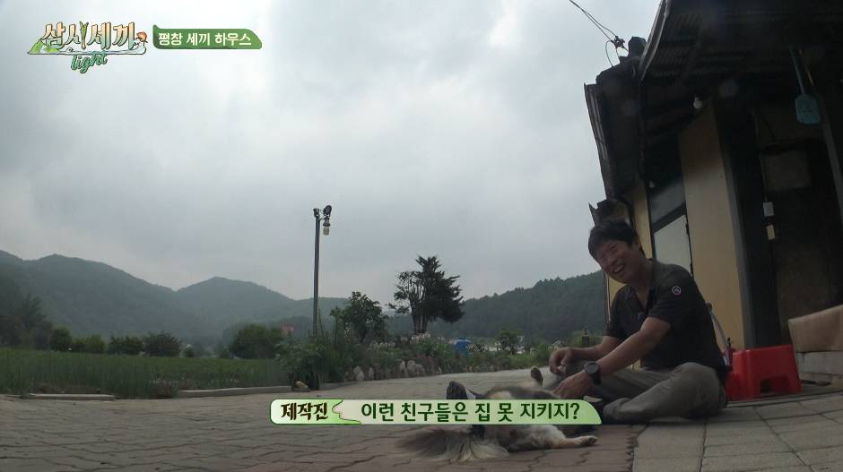 순해도 너무 순한 삼시세끼 복구.jpgif | 인스티즈