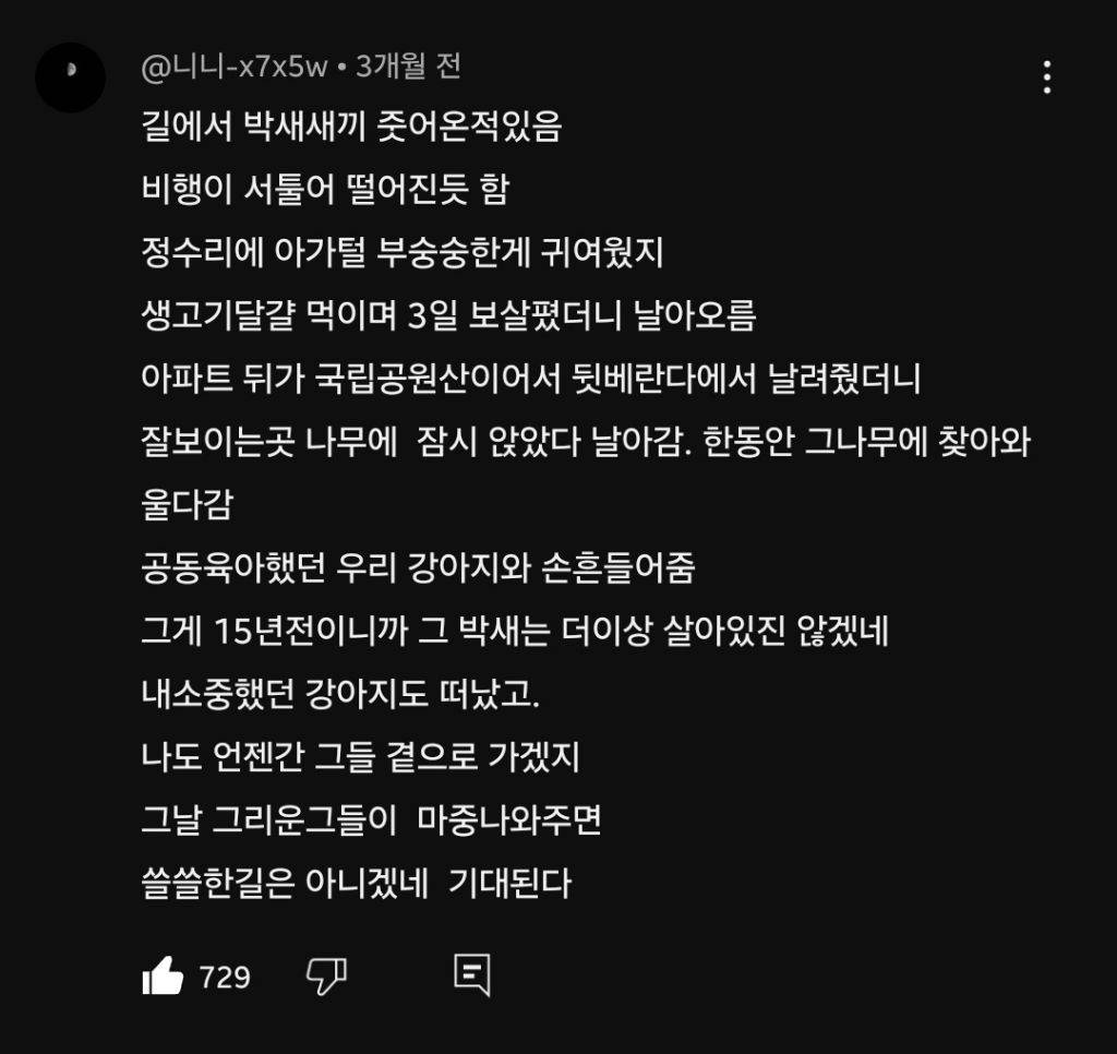 길에서 박새 새끼 주워온 적 있음 | 인스티즈