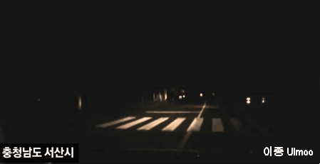 반려견 버려지는 장면 | 인스티즈
