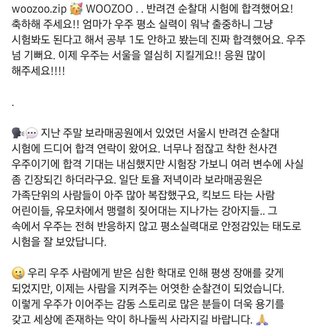 동물농장 염산테러 학대견 우주 (구 포천이), 서울시 반려견 순찰대로 선발 | 인스티즈