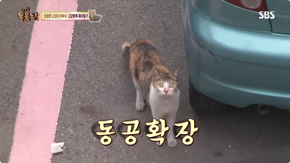 동농 레전드 새끼 확인하다 걸린 제작진 | 인스티즈