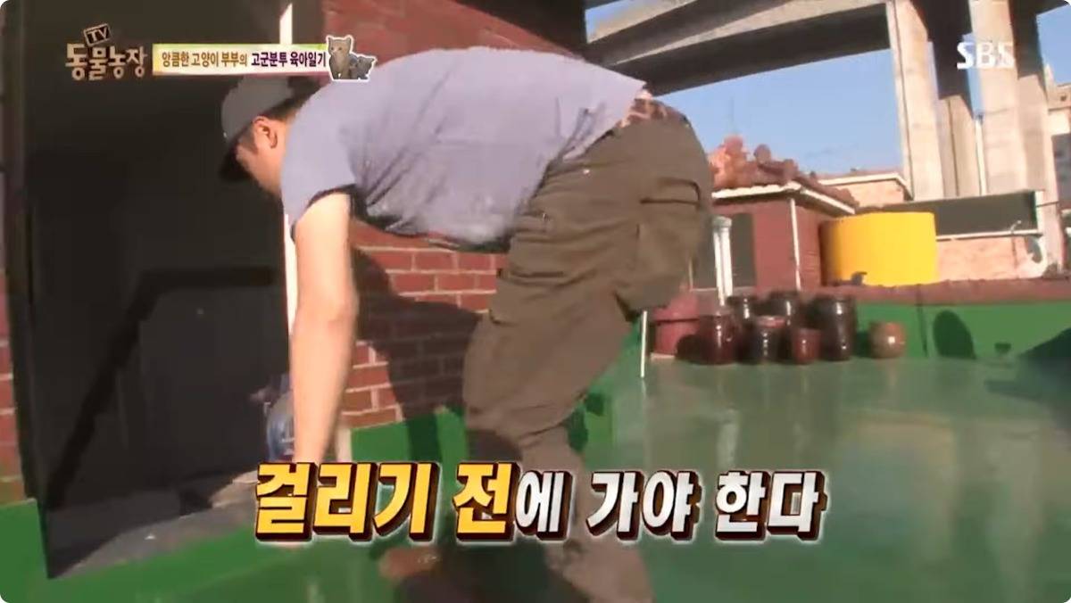 동농 레전드 새끼 확인하다 걸린 제작진 | 인스티즈