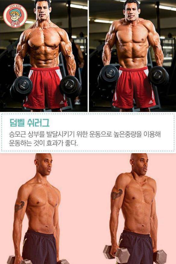 어깨 넓어지는 법 | 인스티즈