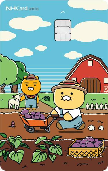 농협에서 새로 공개한 춘식이 체크카드 디자인 | 인스티즈