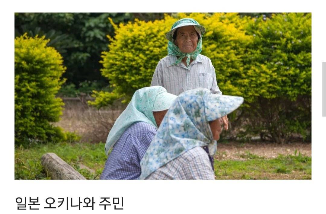 일본의 110세 최장수 마을의 비결 | 인스티즈