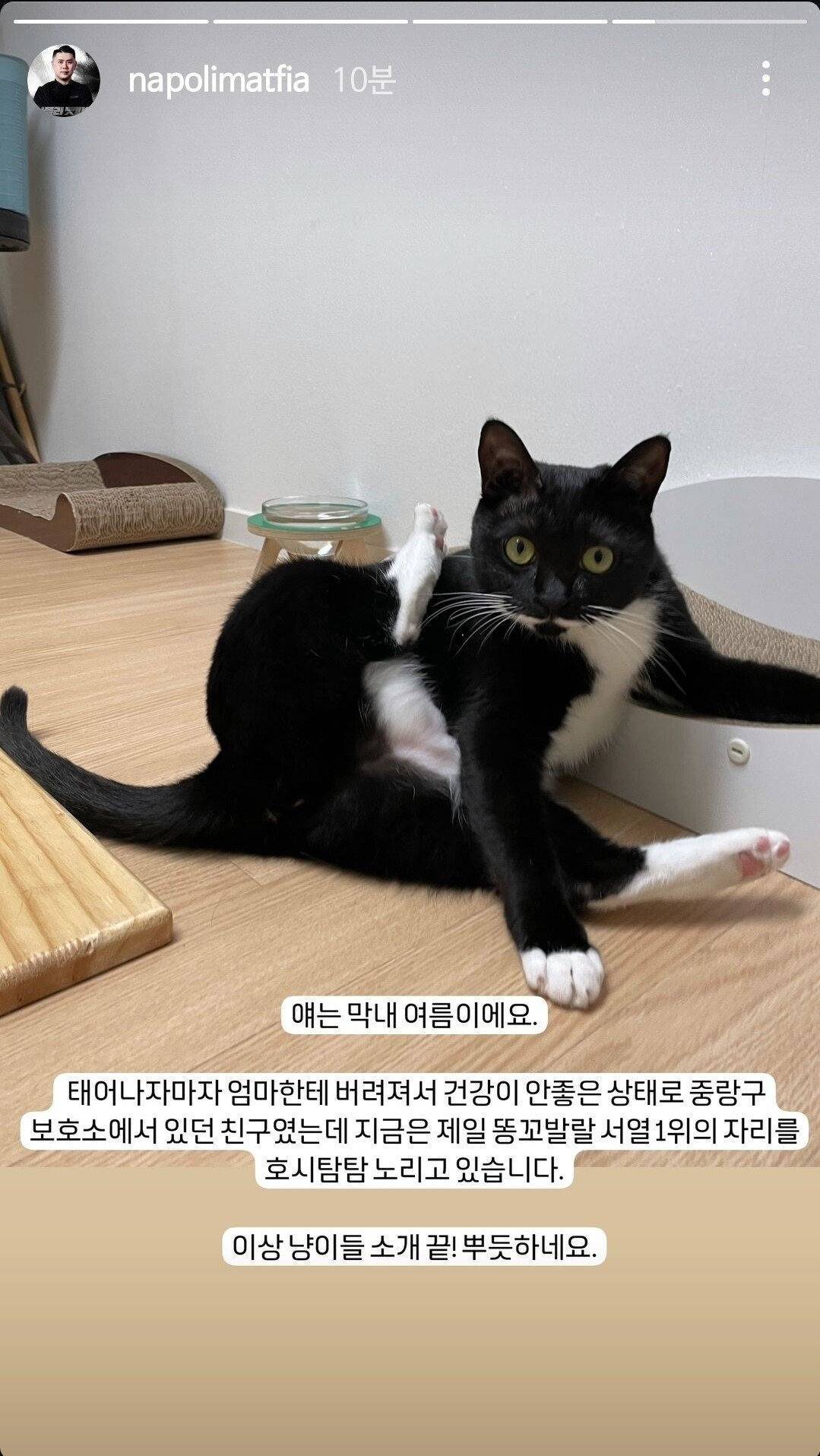 흑백요리사 나온 나폴리 맛피아 인스타 스토리 | 인스티즈