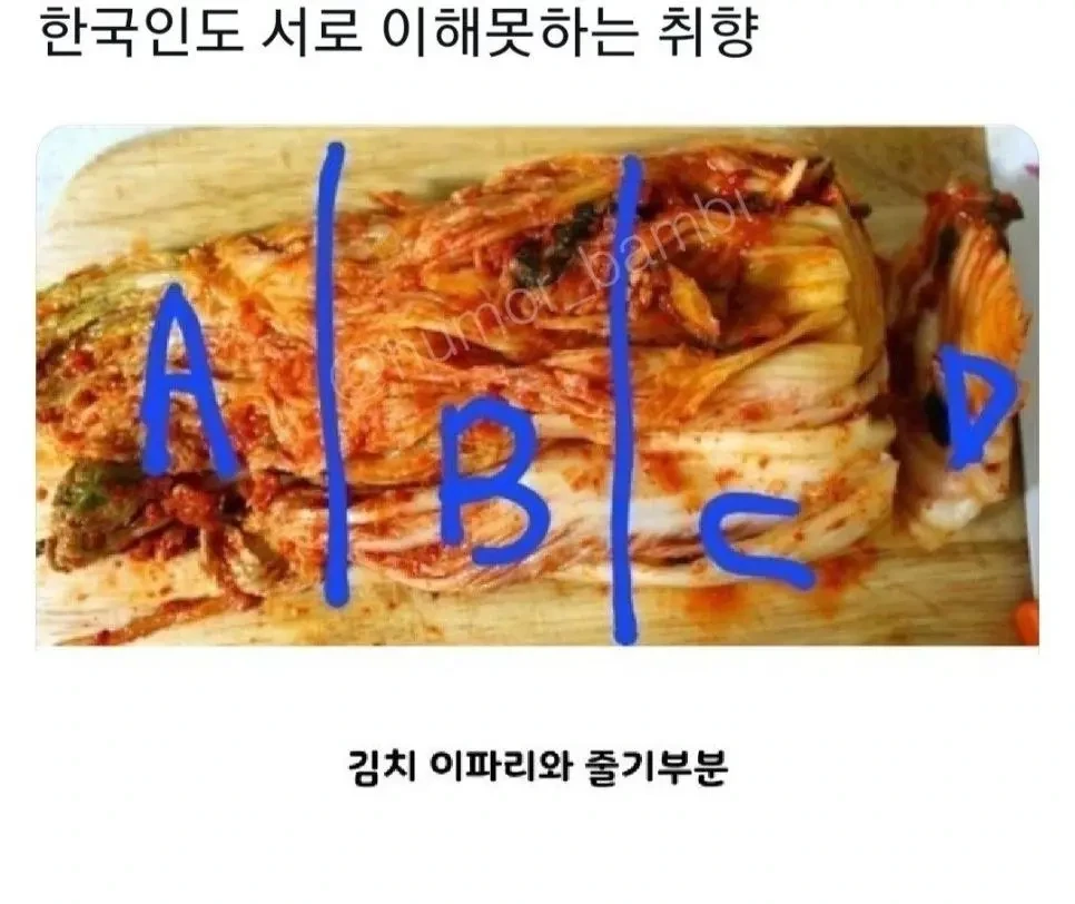 한국인도 서로 이해못하는 취향.jpg | 인스티즈