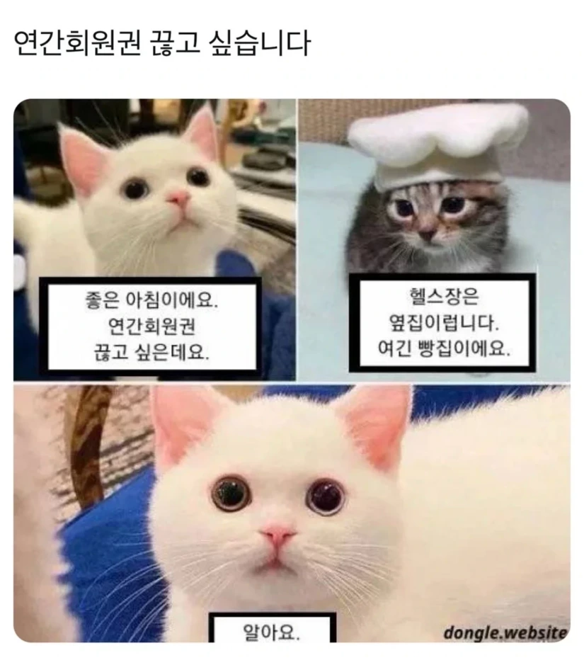 연간회원권 끊으러 왔습니다 | 인스티즈