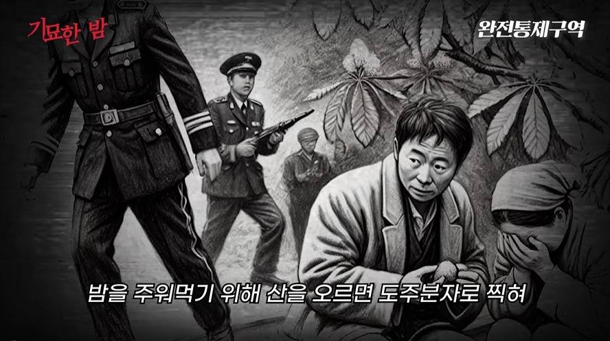 나치보다 더하다는 북한정치범수용소 | 인스티즈