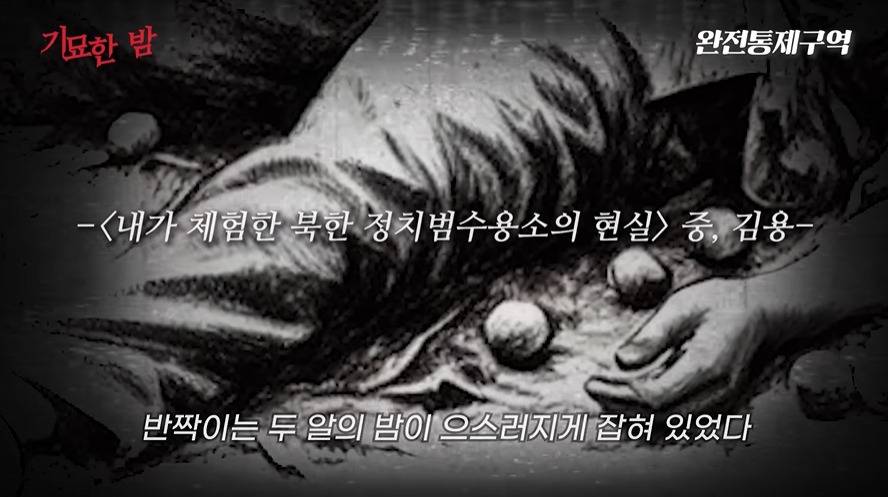 나치보다 더하다는 북한정치범수용소 | 인스티즈