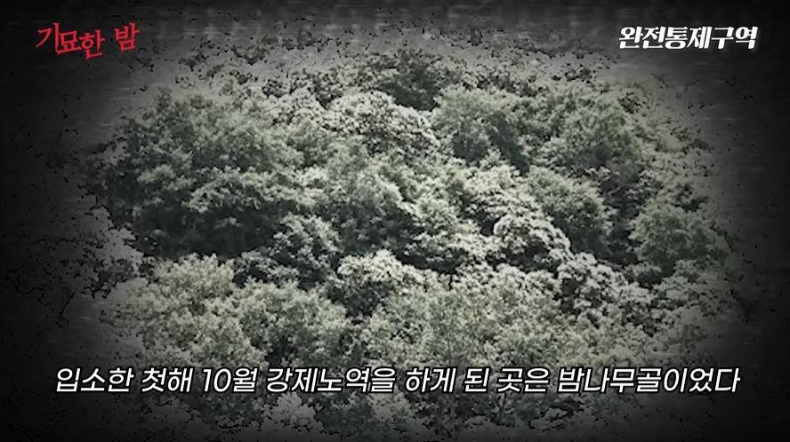 나치보다 더하다는 북한정치범수용소 | 인스티즈