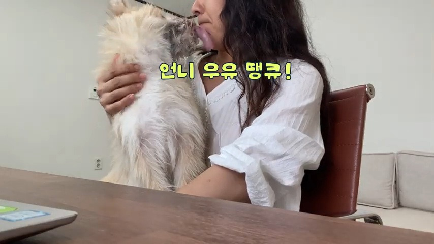 강아지 유치원 퇴소당한 극소심 집순이 강아지ㅠㅠ | 인스티즈