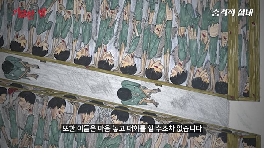 나치보다 더하다는 북한정치범수용소 | 인스티즈