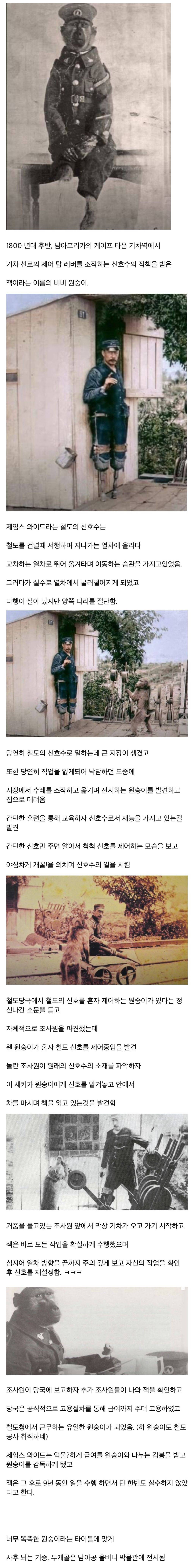 처음이자 마지막으로 철도청에 정식 고용된 원숭이 | 인스티즈