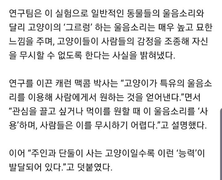 "고양이, 울음소리로 사람 조종한다” | 인스티즈