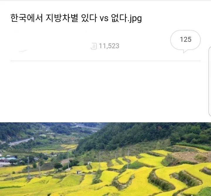 한국에 지방차별...있다 VS 없다.....jpg | 인스티즈