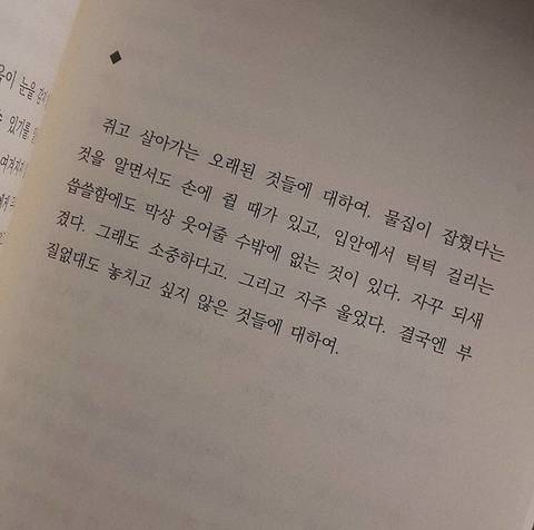 작은 믿음이라도 있어야 한다. 무슨 상황이 와도 나는 결국 잘될 거라는거 | 인스티즈