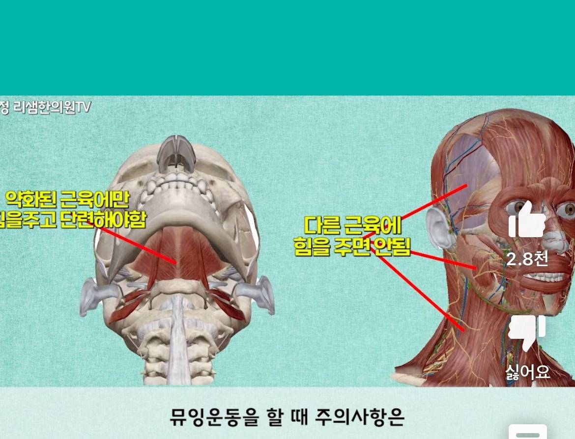 이중턱, 비염, 안면비대칭에 효과 좋고 간단한 뮤잉운동 | 인스티즈