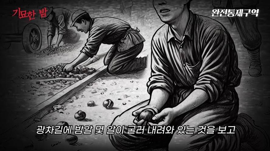 나치보다 더하다는 북한정치범수용소 | 인스티즈