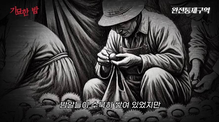 나치보다 더하다는 북한정치범수용소 | 인스티즈