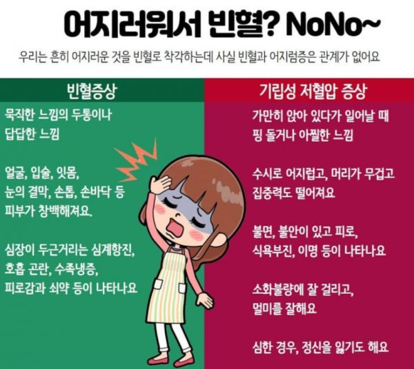 빈혈과 기립성 저혈압의 차이 | 인스티즈