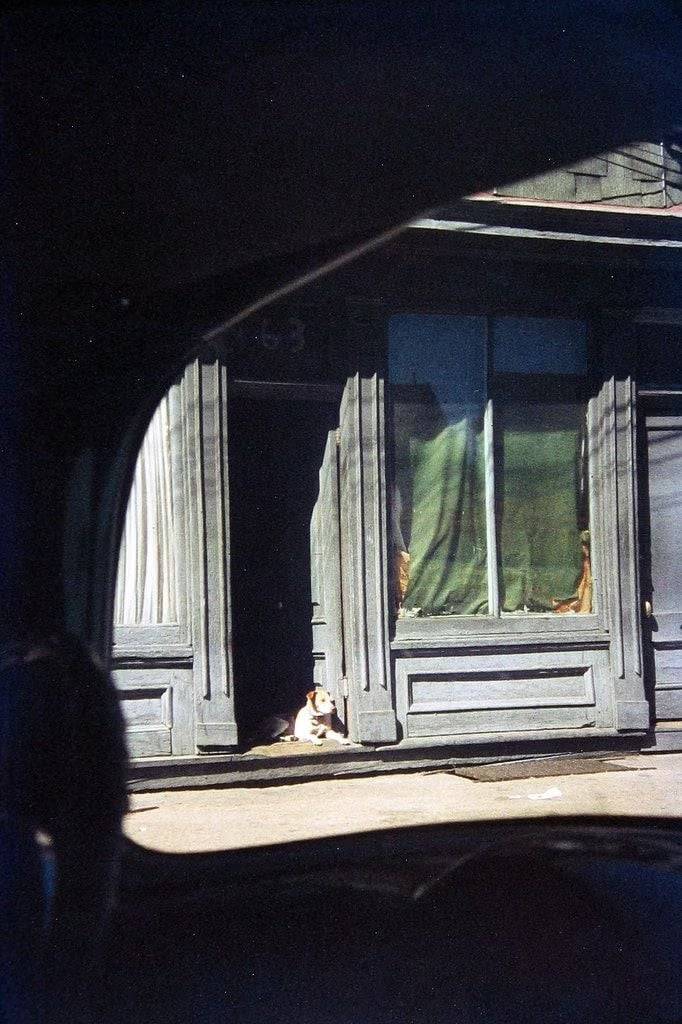 1950년대 뉴욕의 일상을 주로 담던 사진 작가.jpg | 인스티즈