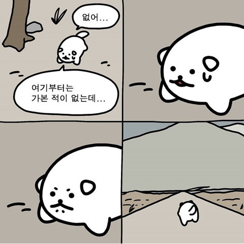 내일 뚝섬 한강공원에서 강아지 500마리 마라톤함.jpg | 인스티즈