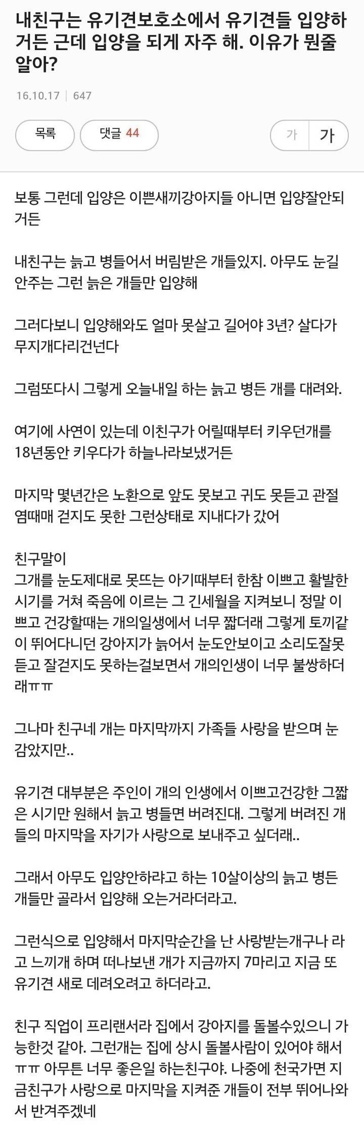 친구가 나이많은 유기견 입양하는 이유 | 인스티즈