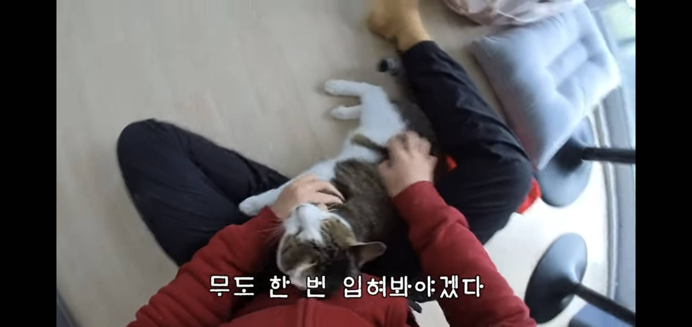 썸네일 보자마자 말벌아저씨마냥 달려간 오늘자 hahaha 영상.jpg | 인스티즈