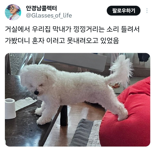 거실에서 낑낑거리는 소리 들려서 가봤더니.jpg | 인스티즈