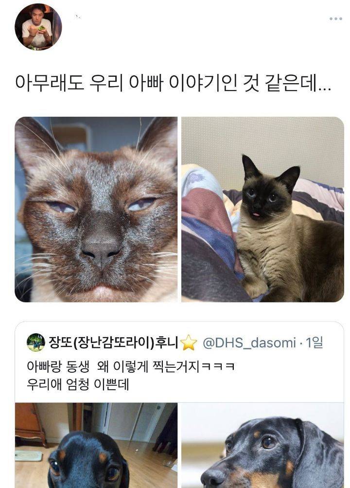 아빠랑 동생 왜 이렇게 찍는거지ㅋㅋㅋ 우리애 엄청 이쁜데.twt | 인스티즈