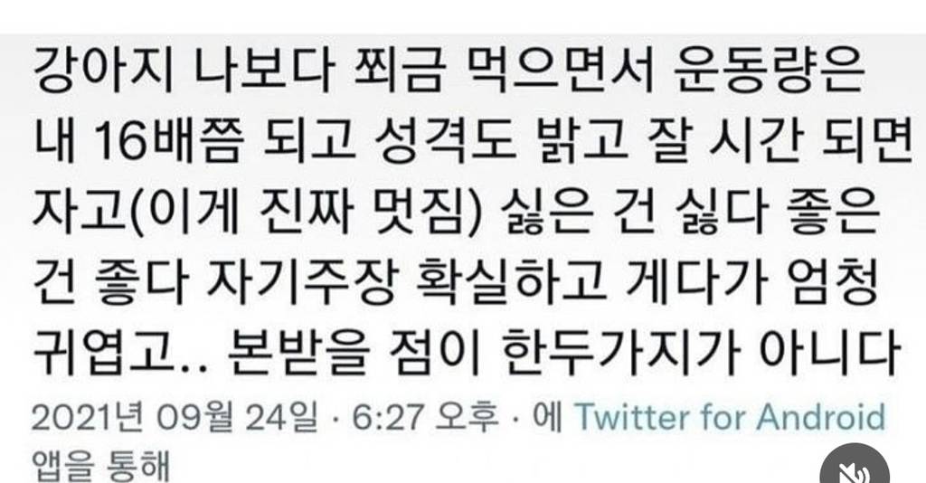 강아지 나보다 쬐금 먿으면서 | 인스티즈