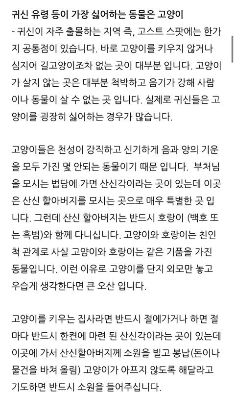 귀신이 가장 싫어하는 고양이 | 인스티즈